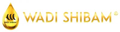 logo wadi